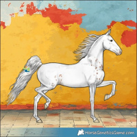 Horse Color:Silver Brown Splash Tobiano Leopard 