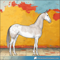 Horse Color:Classic Champagne Roan Splash Varnish 