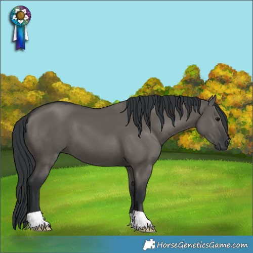 Horse Color:Grullo 
