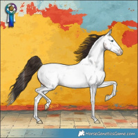 Horse Color:Bay Roan Splash Near Fewspot Rabicano 