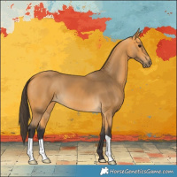 Horse Color:Buckskin 