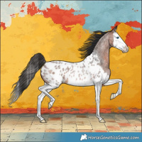 Horse Color:Brown Roan Splash Near Leopard Rabicano 