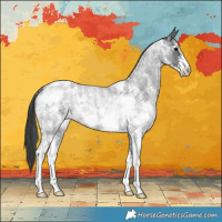 Horse Color:Blue Roan Sabino Varnish Rabicano 