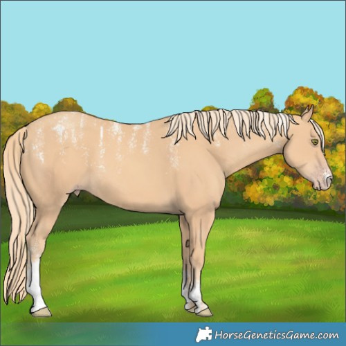 Horse Color:Powder White Gold Champagne 
