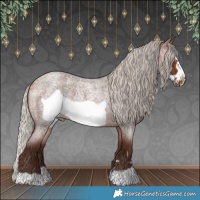 Horse Color:Silver Brown Roan Frame 