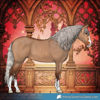 Horse Color:Silver Bay Dun