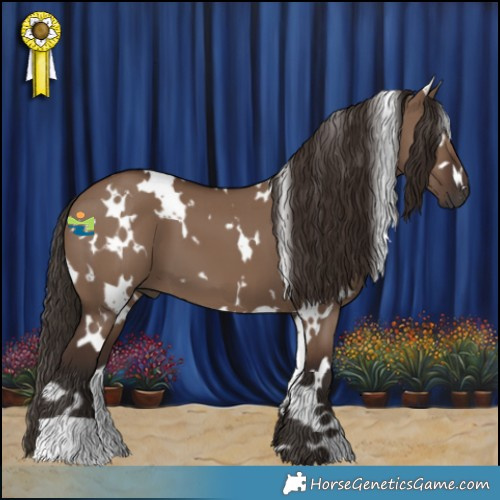 Horse Color:White Spotted Liver Red Dun 