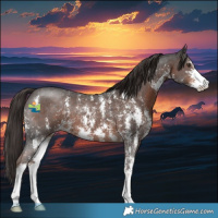 Horse Color:Liver Chestnut Sabino 