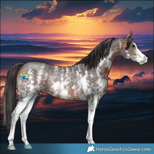 Horse Color:Bay Sabino Rabicano 