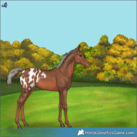 Horse Color:Chestnut Mushroom Blanket