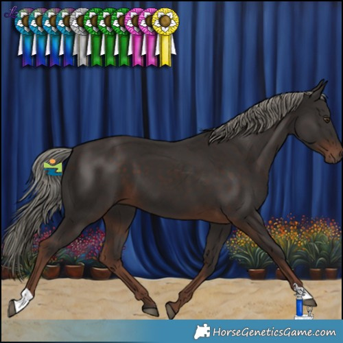Horse Color:Liver Chestnut Mushroom 
