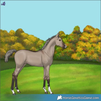 Horse Color:Liver Red Dun Mushroom