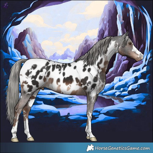 Horse Color:White Spotted Liver Chestnut Mushroom Appaloosa 