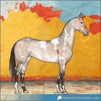 Horse Color:White Spotted Brown Dun Rabicano