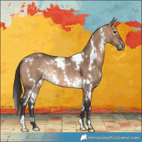 Horse Color:White Spotted Brown Dun Rabicano 