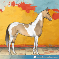 Horse Color:Buckskin Dun Tobiano