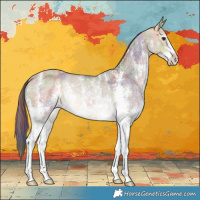 Horse Color:Nacre Buckskin Dun Sabino Rabicano