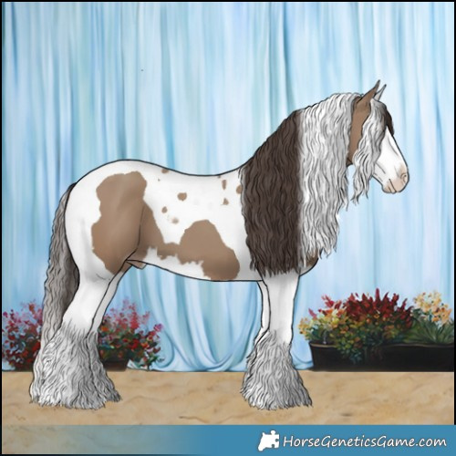 Horse Color:Classic Champagne Splash Tobiano 