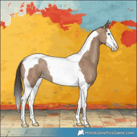 Horse Color:Classic Champagne Splash Tobiano 