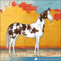 Horse Color:White Spotted Chestnut Ice Splash 