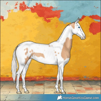 Horse Color:Silver Classic Champagne Splash Tobiano Blanket 
