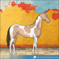 Horse Color:Amber Champagne Tobiano 