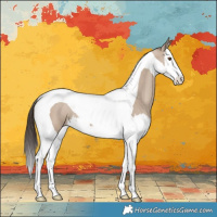 Horse Color:Classic Champagne Dun Splash Tobiano 