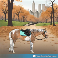 Horse Color:Gray Silver Perlino Tobiano 