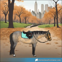 Horse Color:Buckskin Roan 