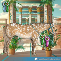 Horse Color:White Spotted Chocolate Palomino Dun Snowflake Varnish