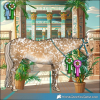 Horse Color:White Spotted Chocolate Palomino Dun Appaloosa 