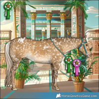 Horse Color:White Spotted Chocolate Palomino Dun Appaloosa 