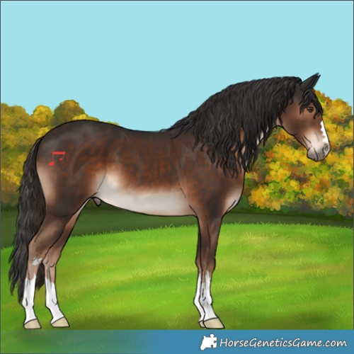 Horse Color:Liver Chestnut 