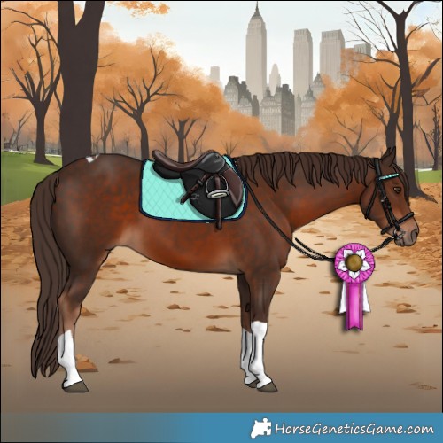 Horse Color:Liver Chestnut Tobiano