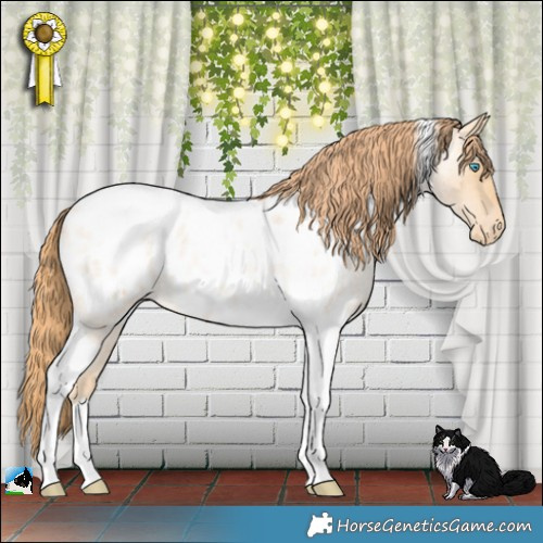 Horse Color:Buckskin Roan Pearl Tobiano Blanket 