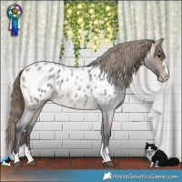 Horse Color:Buckskin Roan Blanket