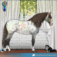 Horse Color:Buckskin Roan Blanket 