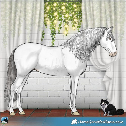 Horse Color:Liver Chestnut Sabino Blanket 