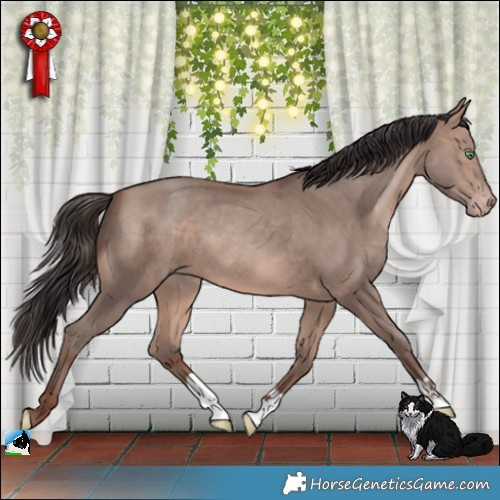 Horse Color:Sable Champagne Mushroom 
