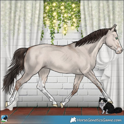 Horse Color:Sable Champagne Dun Mushroom Sabino 