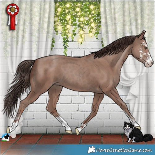 Horse Color:Classic Champagne Mushroom Sabino 