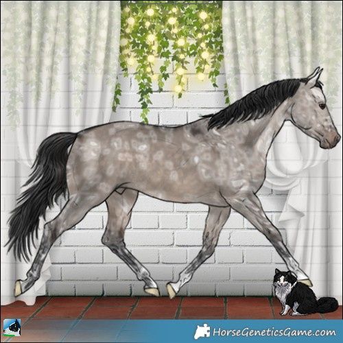 Horse Color:Brown Ice Dun Mushroom 