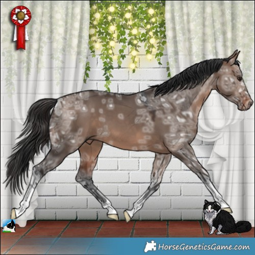 Horse Color:Brown Ice Dun Mushroom 