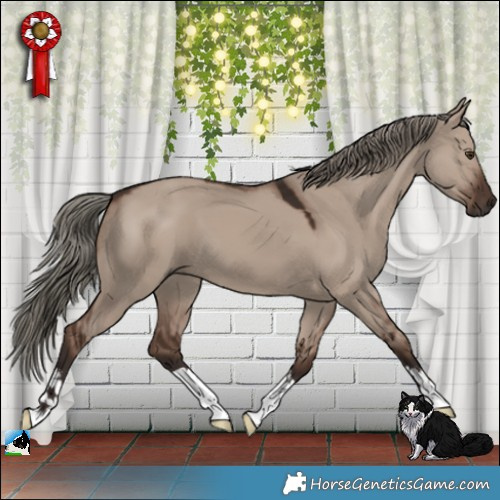 Horse Color:Liver Red Dun Mushroom 