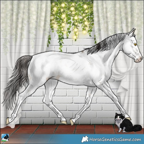 Horse Color:Sable Champagne Dun Sabino 