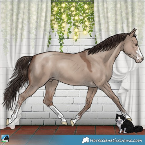 Horse Color:Classic Champagne Dun Sabino 