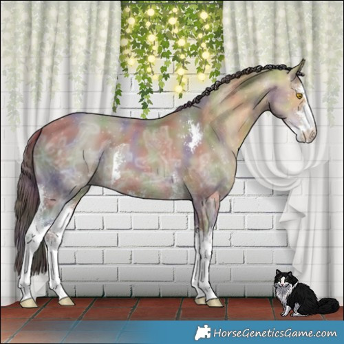 Horse Color:Nacre Sable Champagne Ice Sabino 