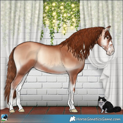 Horse Color:Gold Champagne Onyx Sabino Rabicano 