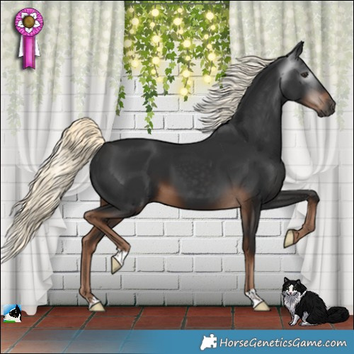 Horse Color:Gray Liver Chestnut Mushroom 