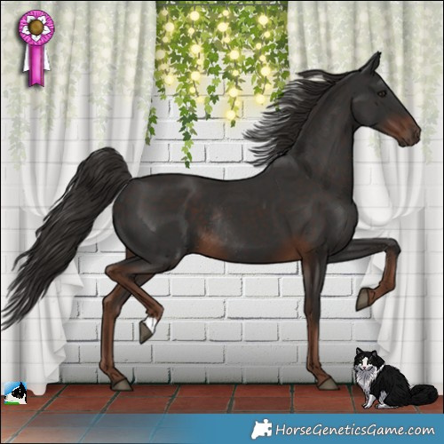 Horse Color:Liver Chestnut Rabicano 